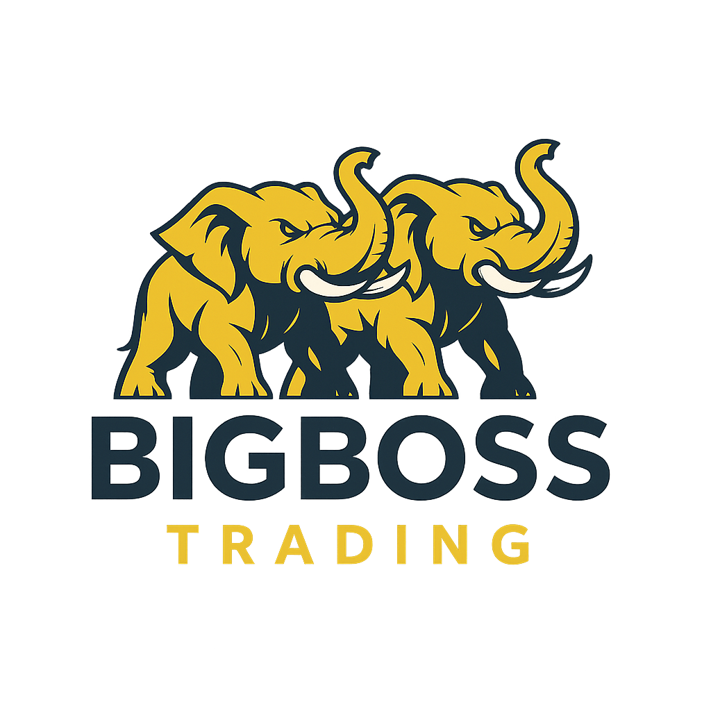 Bigboss Logo
